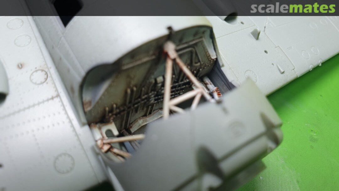 View album, image #1