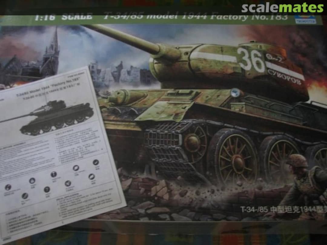 View album, image #1 View album, image #1