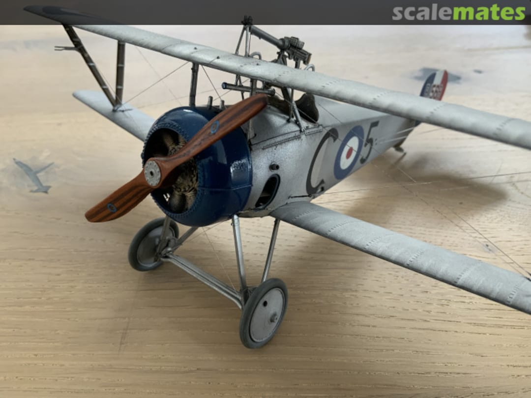 View album, image #5