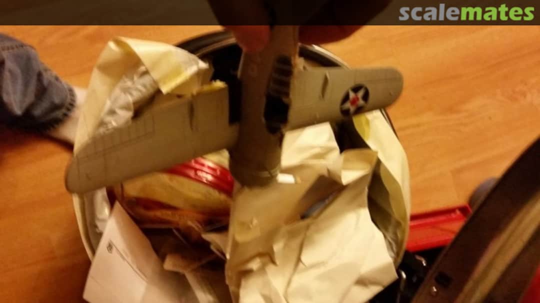 View album, image #29 View album, image #29