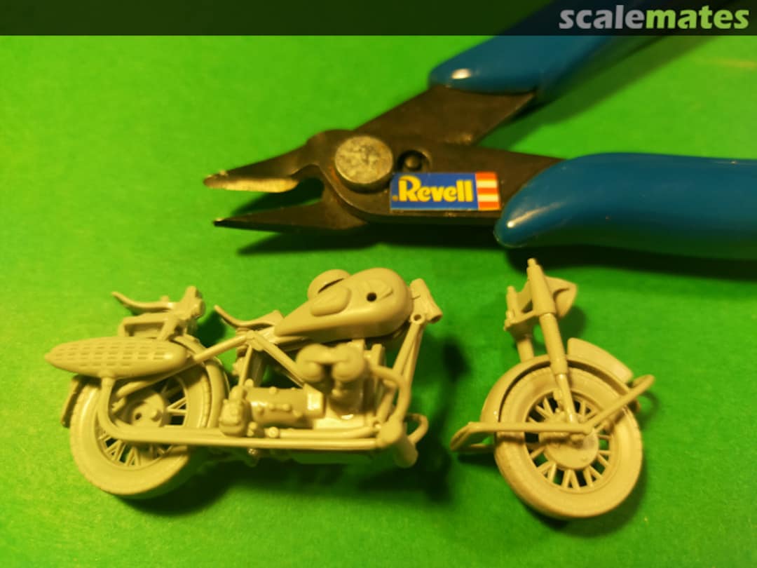 View album, image #1 View album, image #1