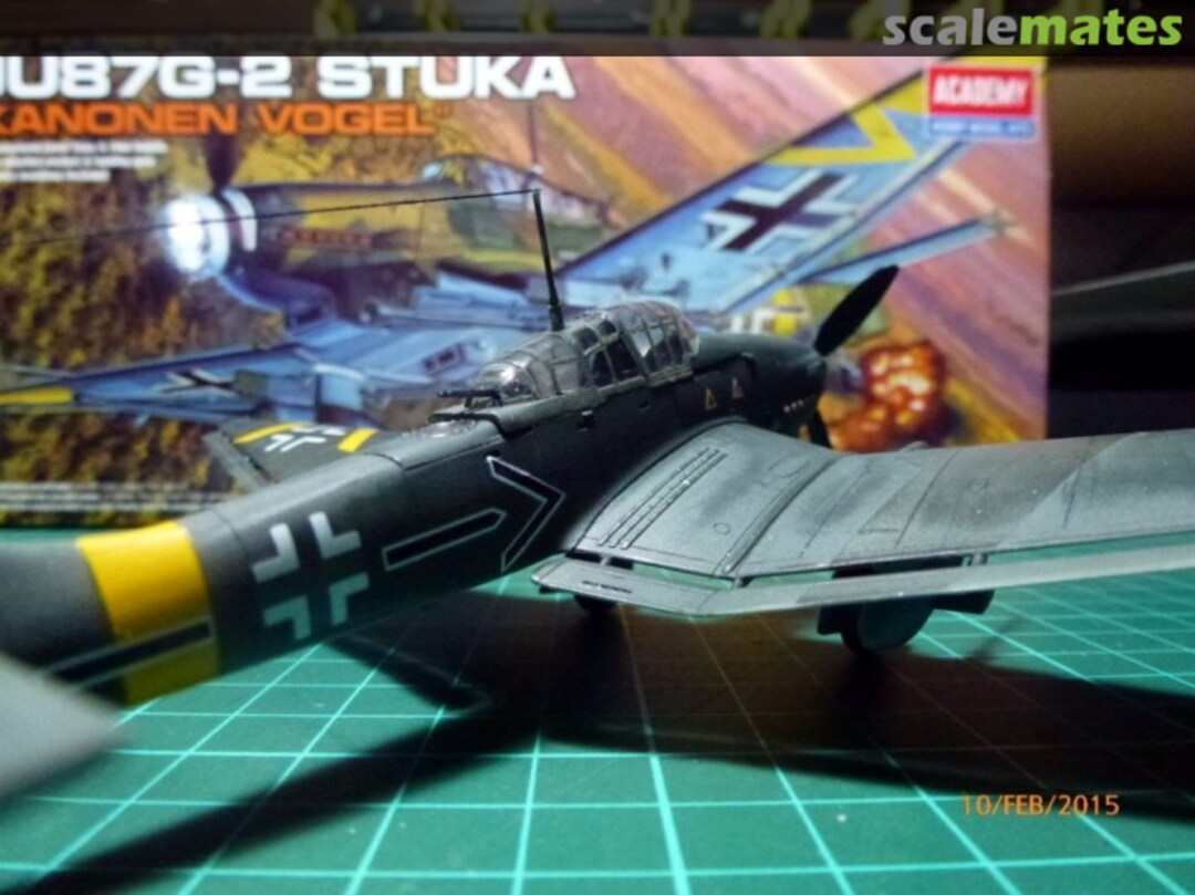 View album, image #1