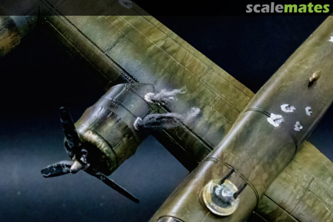 View album, image #10 View album, image #10