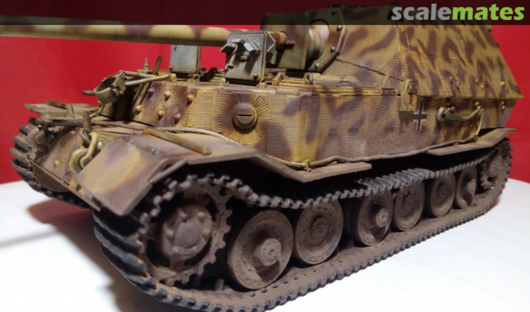 View album, image #1 View album, image #1