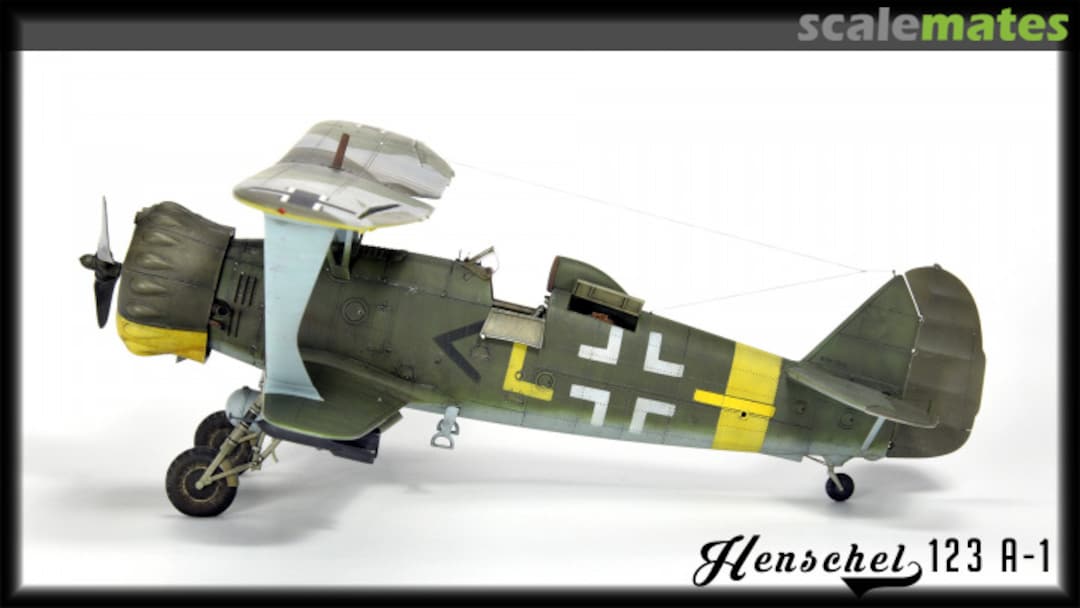 View album, image #5