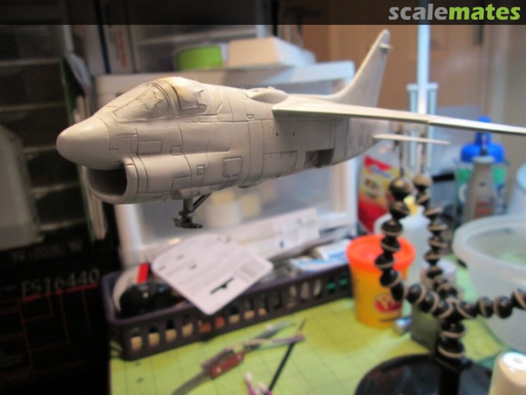 View album, image #1 View album, image #1