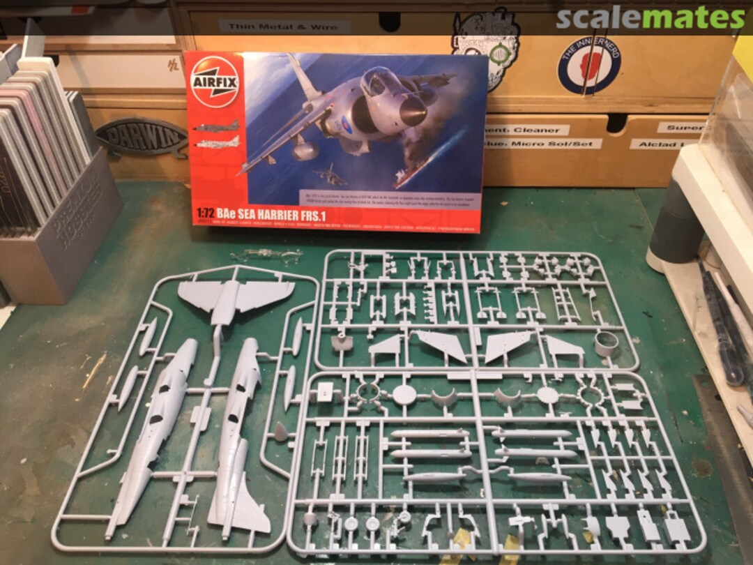 View album, image #1