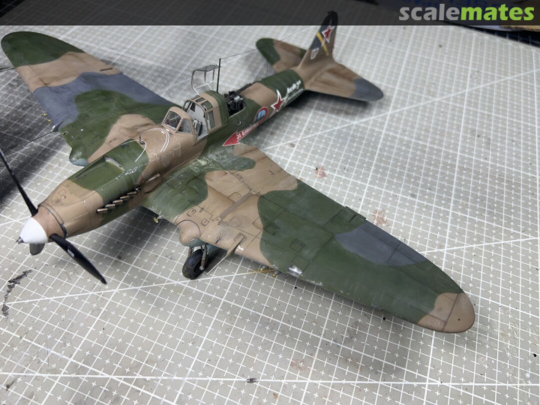 View album, image #3