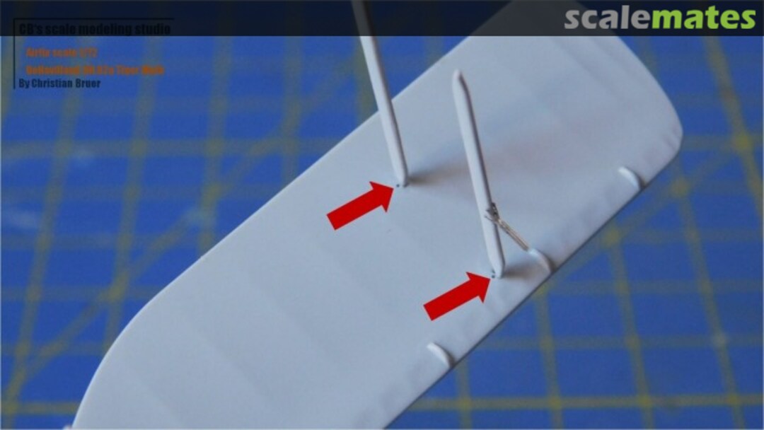 View album, image #26 View album, image #26