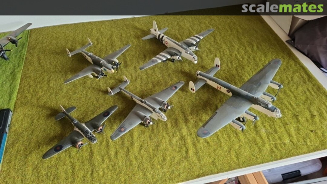 View album, image #43 View album, image #43