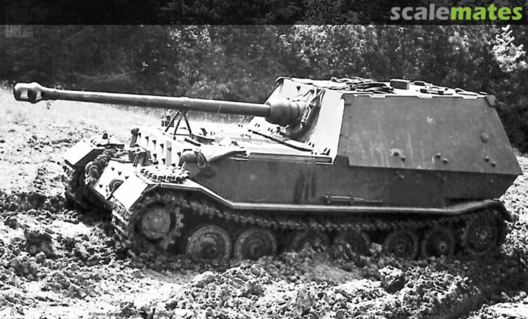 View album, image #1 View album, image #1