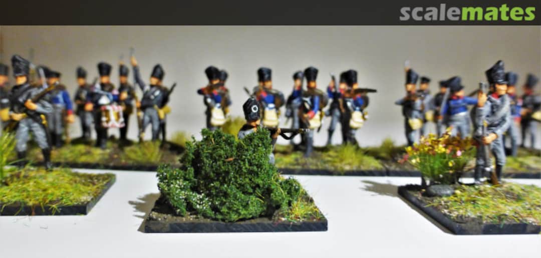 View album, image #1 View album, image #1