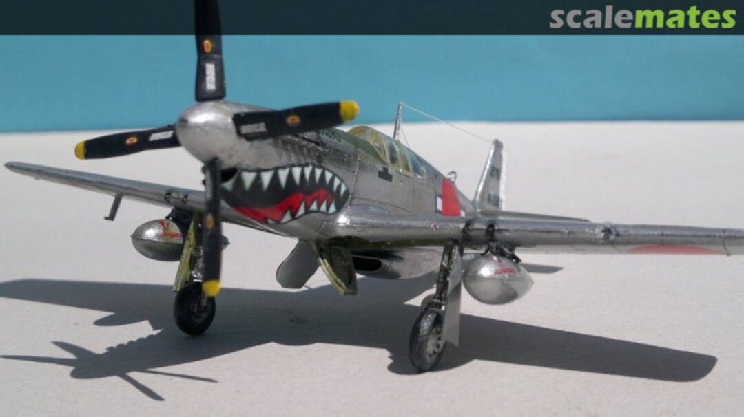 View album, image #13 View album, image #13