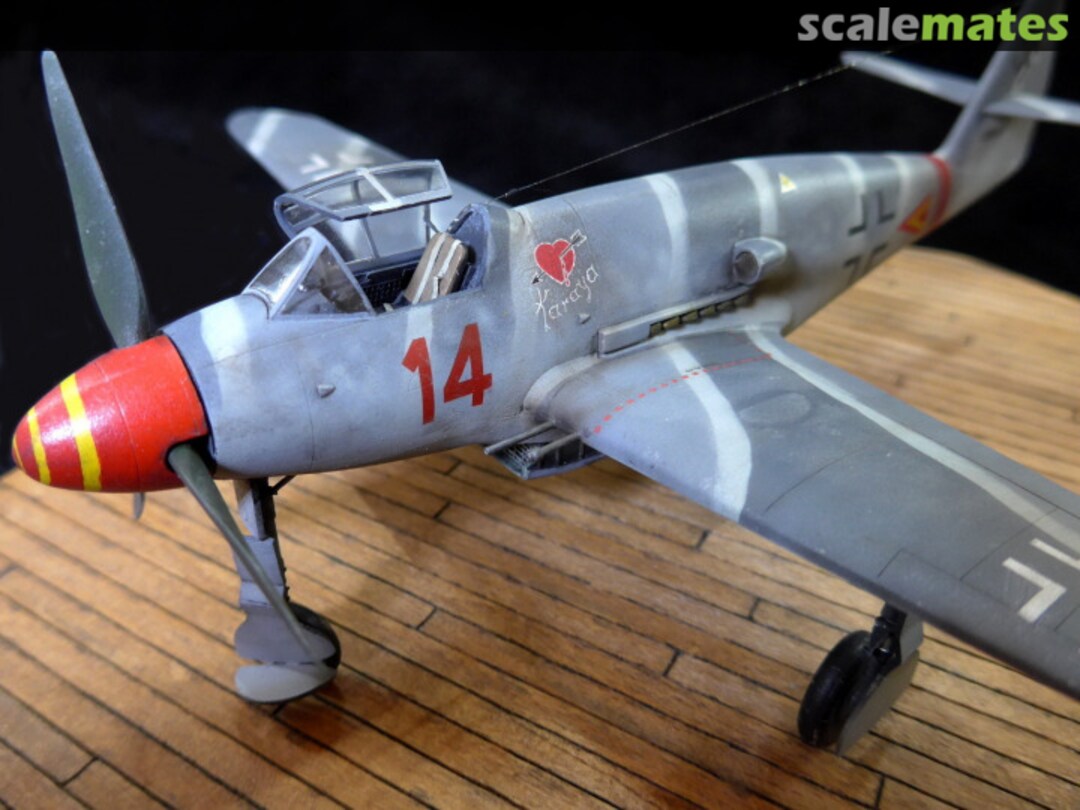 View album, image #1 View album, image #1