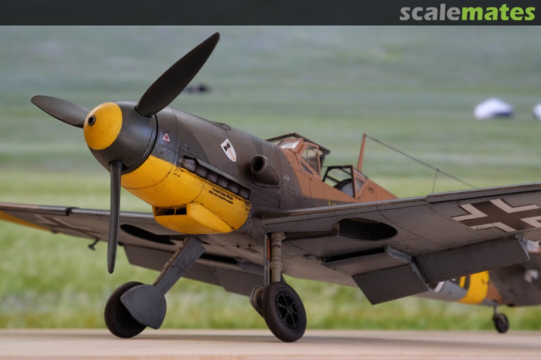 View album, image #1