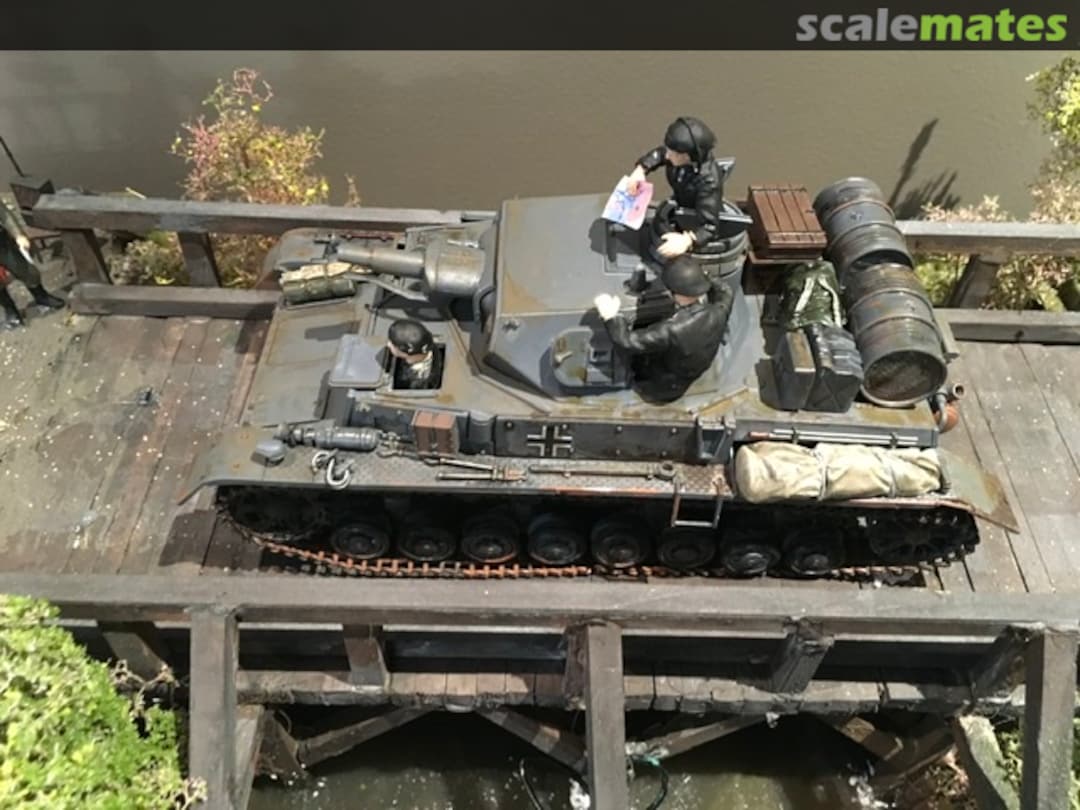 View album, image #1 View album, image #1