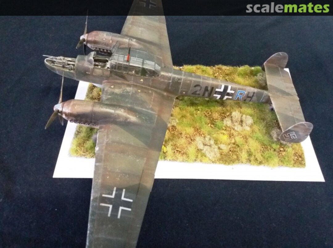 View album, image #1 View album, image #1