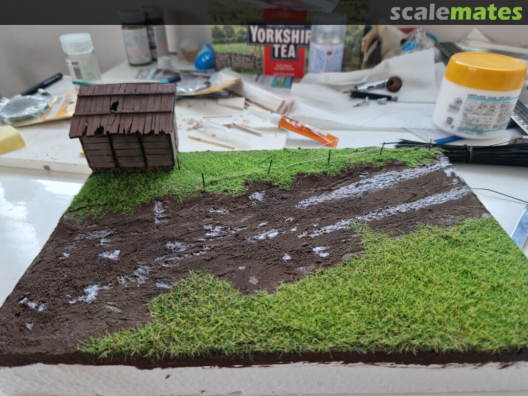 View album, image #1 View album, image #1