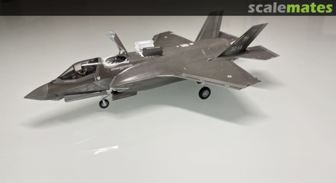 View album, image #17 View album, image #17