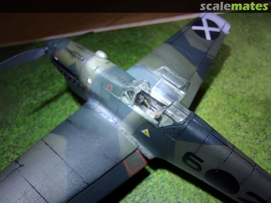 View album, image #1