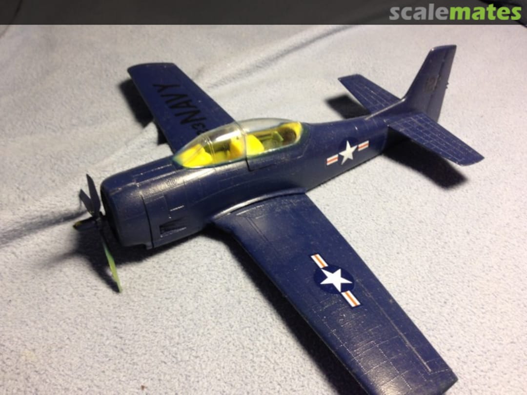 View album, image #1 View album, image #1