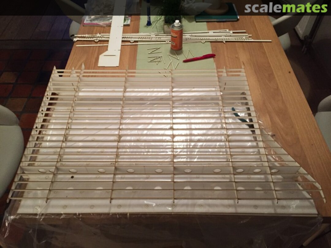 View album, image #1 View album, image #1