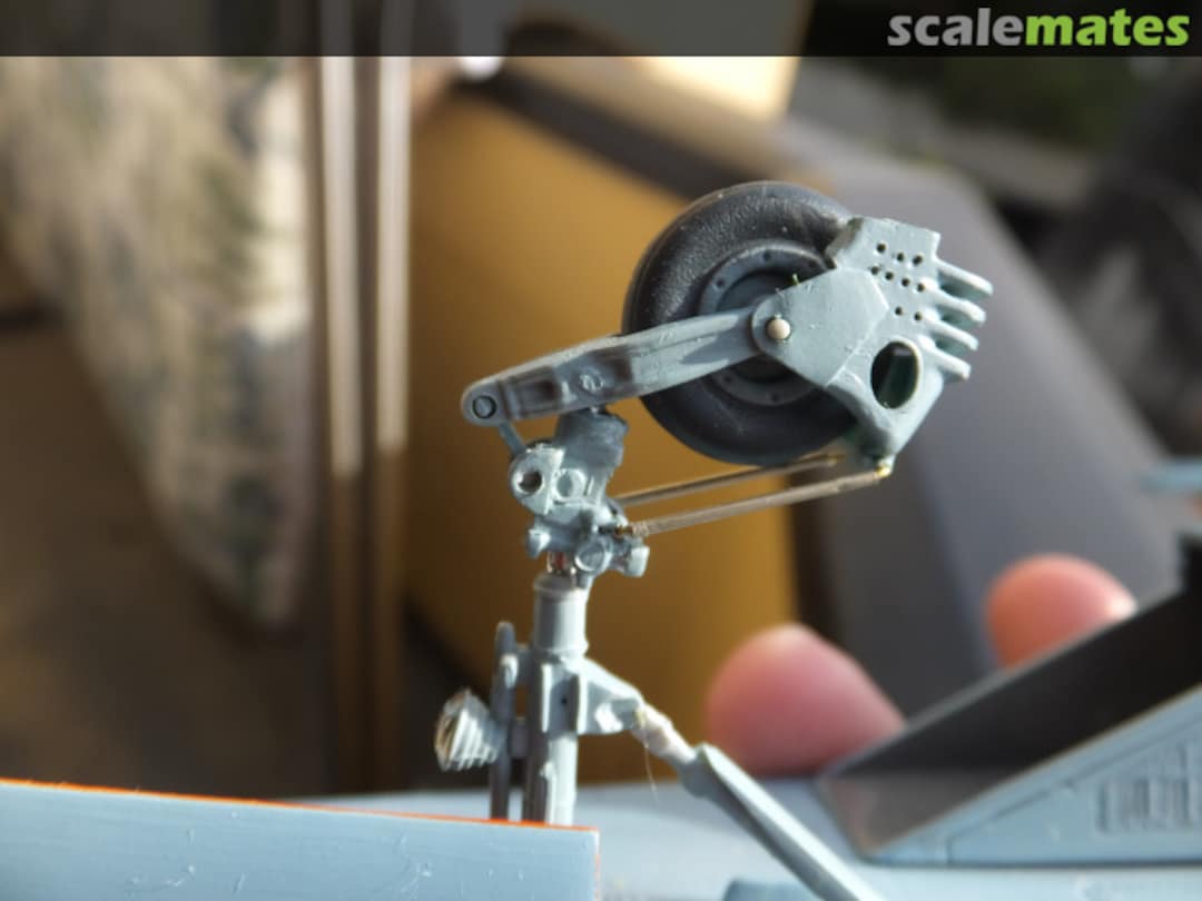 View album, image #1 View album, image #1