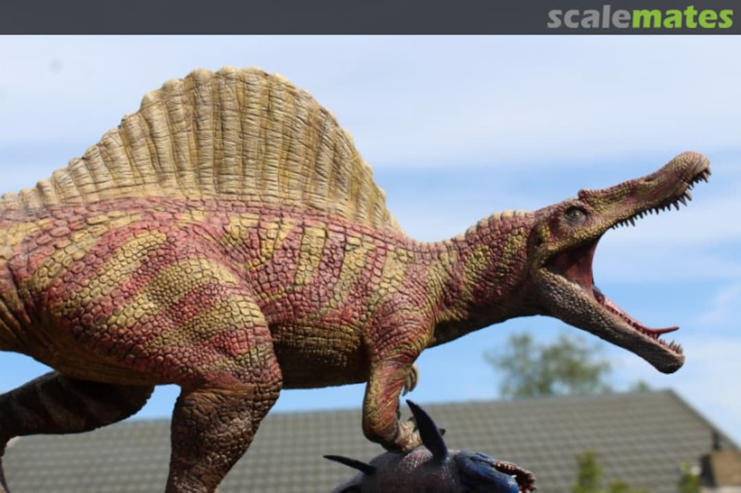 View album, image #96 View album, image #96