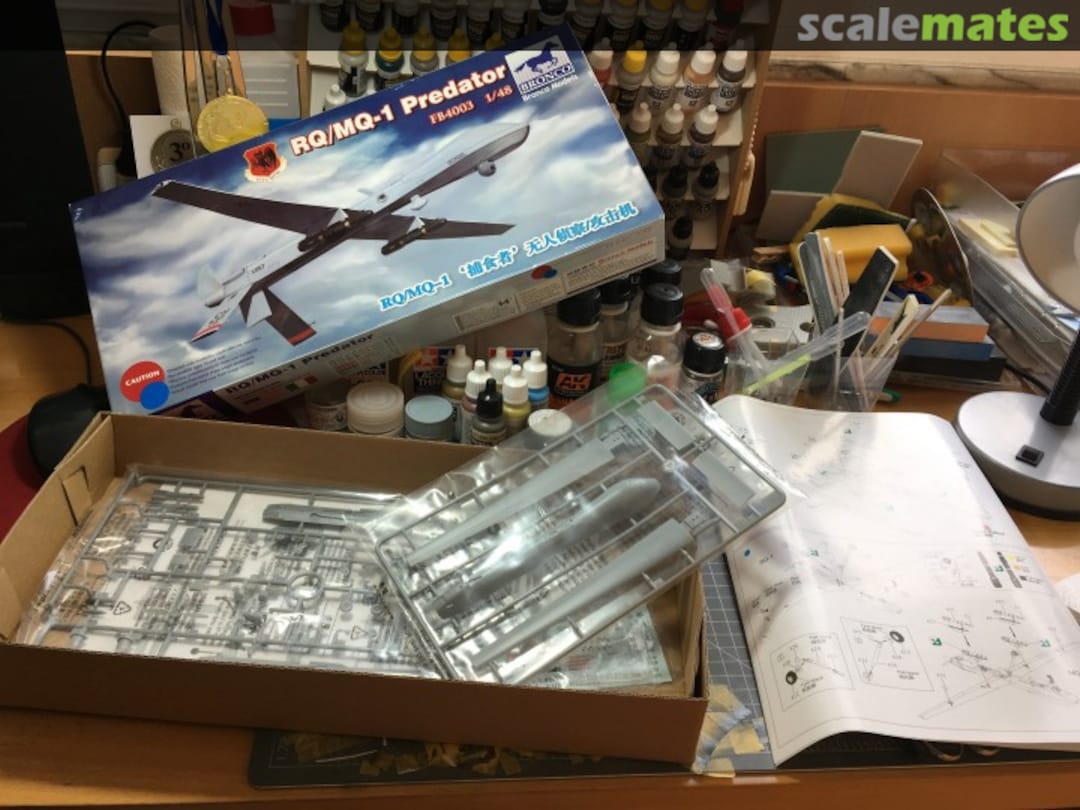 View album, image #1 View album, image #1