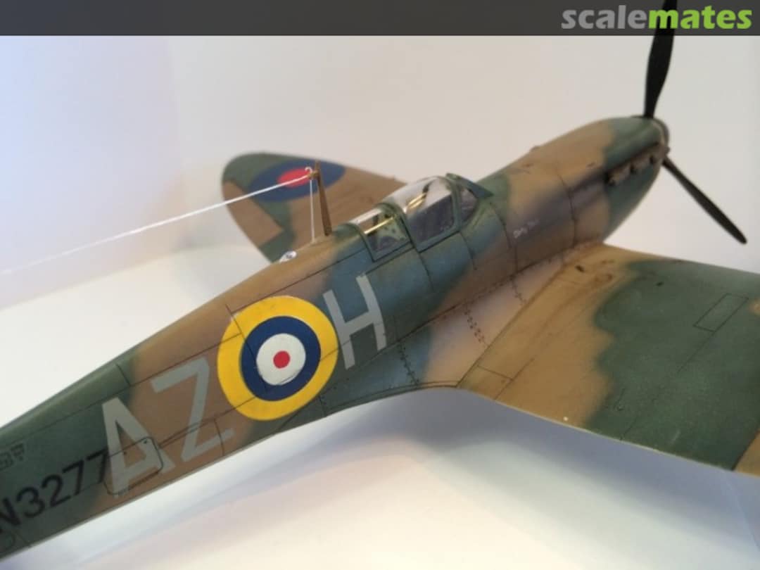 View album, image #6 View album, image #6