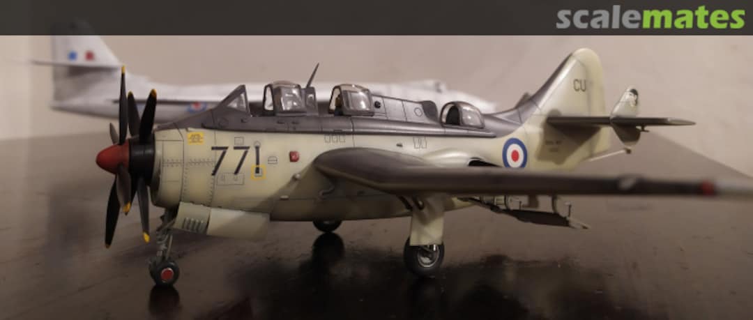 View album, image #39 View album, image #39