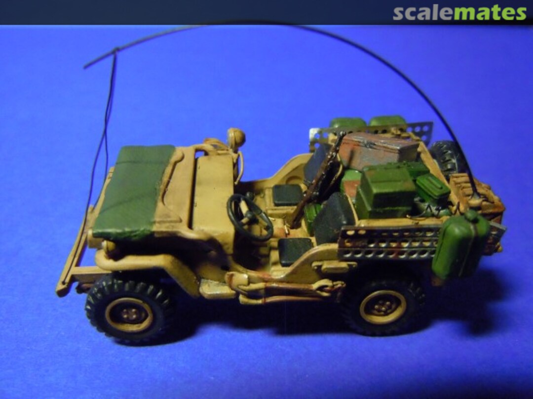 View album, image #1 View album, image #1