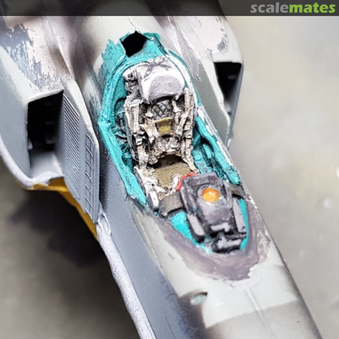 View album, image #1 View album, image #1