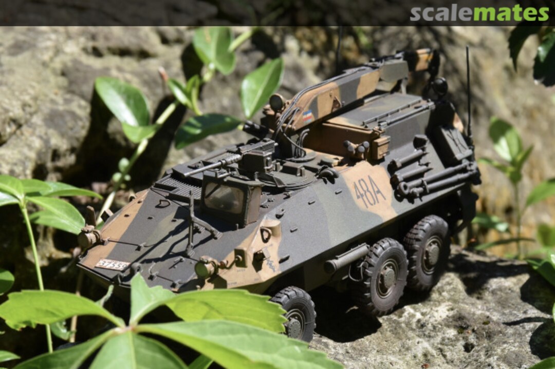 View album, image #14 View album, image #14