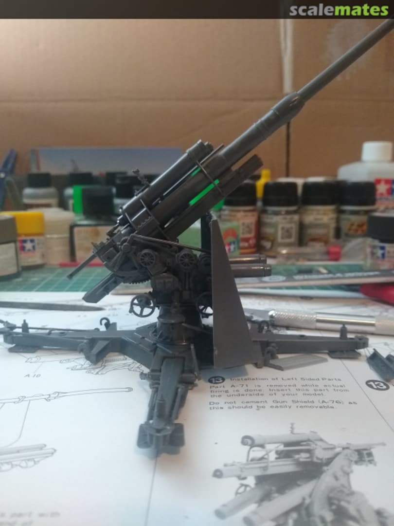 View album, image #1 View album, image #1