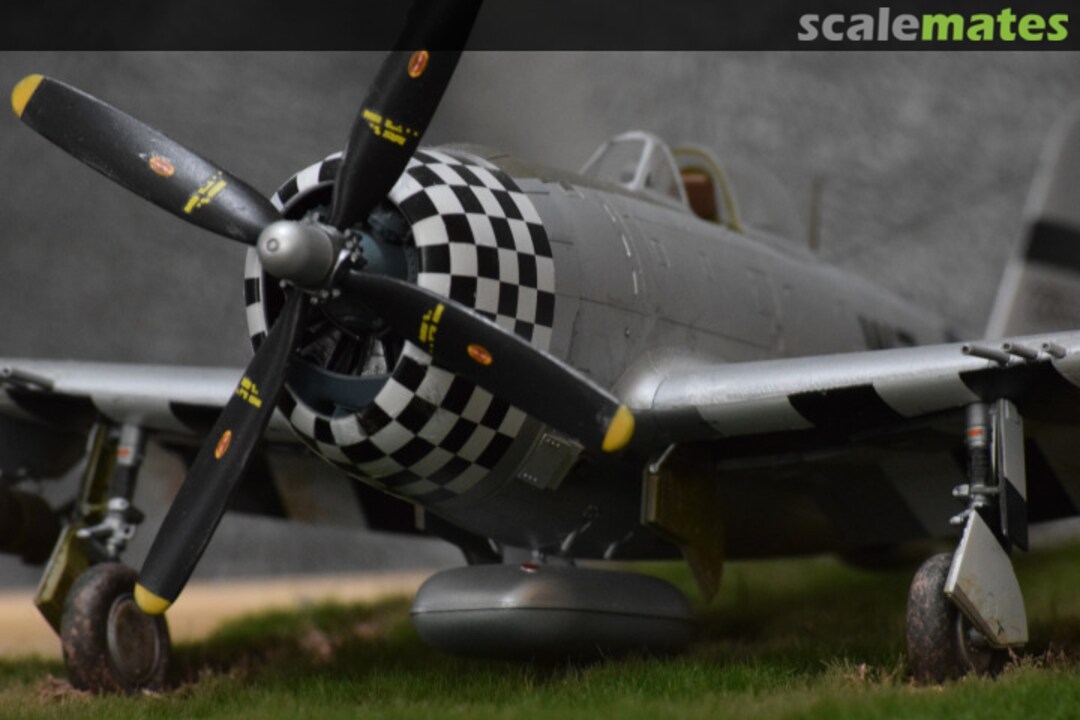 View album, image #23 View album, image #23