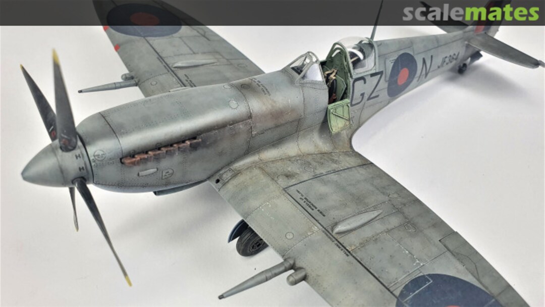 View album, image #13