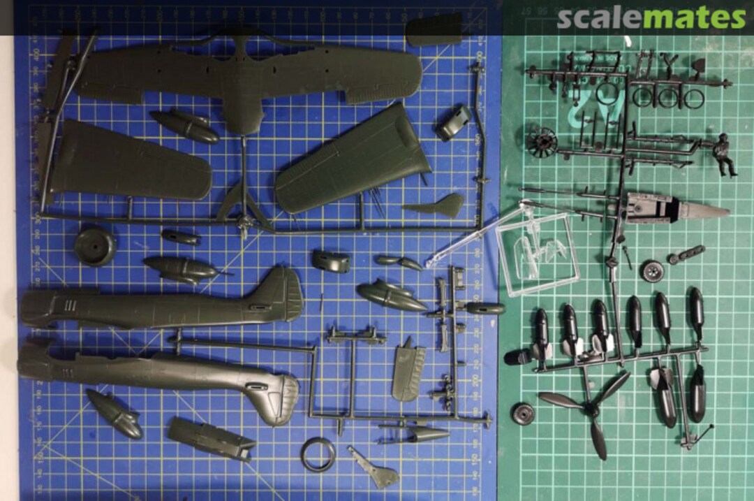 View album, image #1 View album, image #1