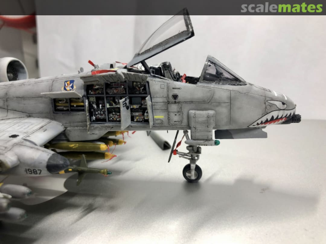 View album, image #56