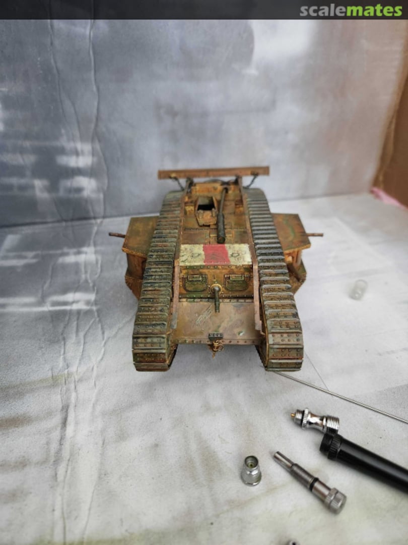 View album, image #1 View album, image #1