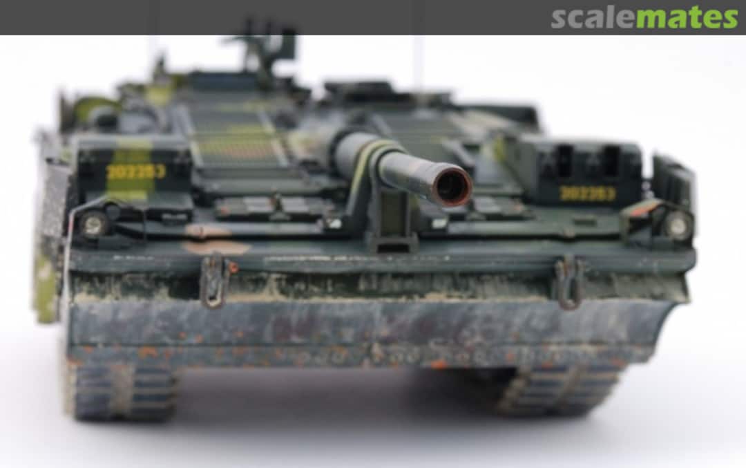 View album, image #1 View album, image #1