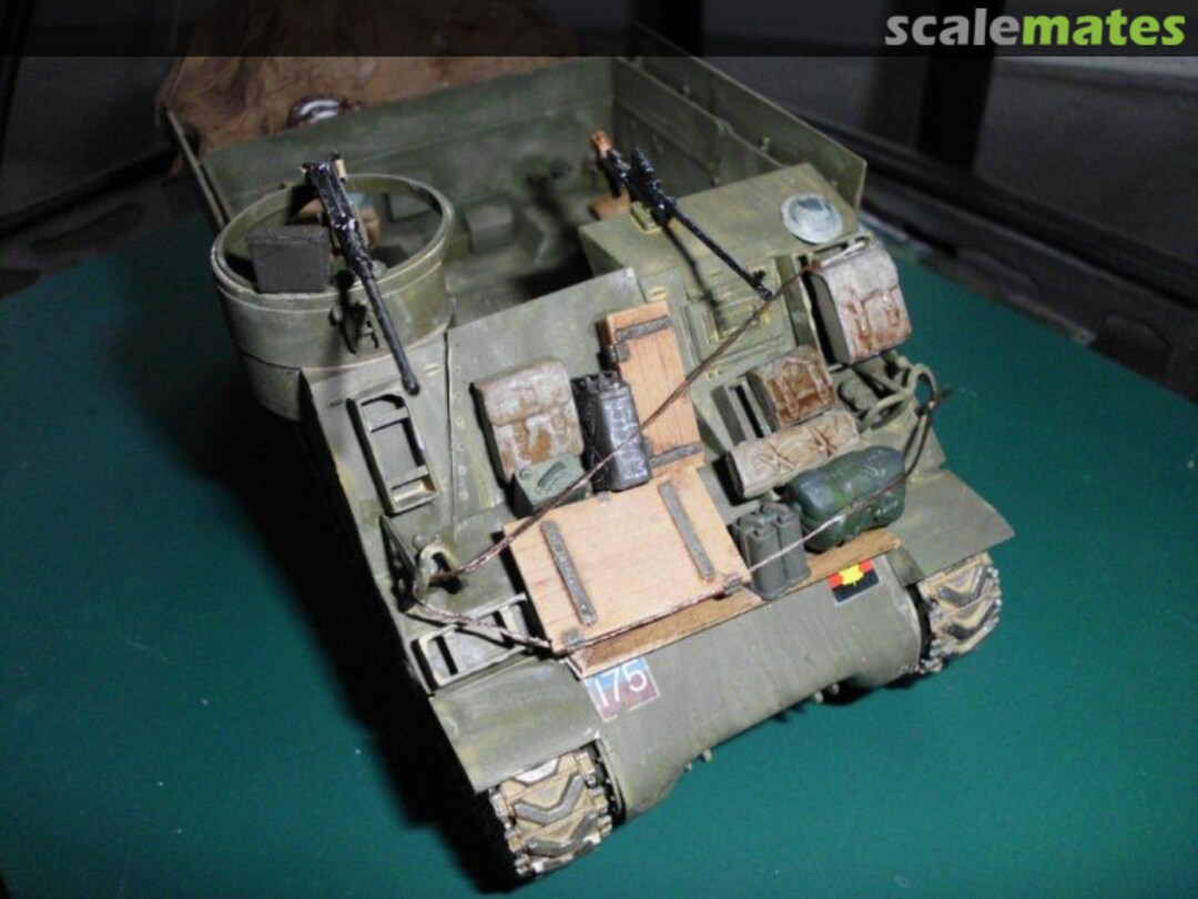 View album, image #1 View album, image #1