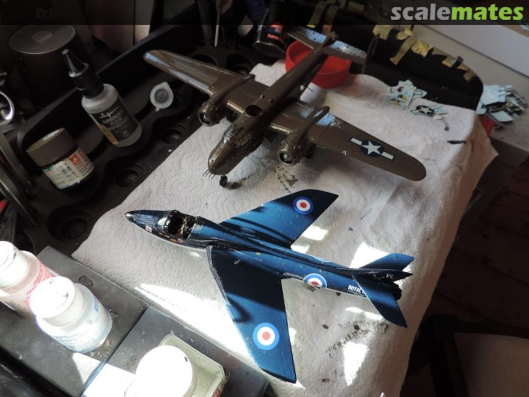 View album, image #1 View album, image #1