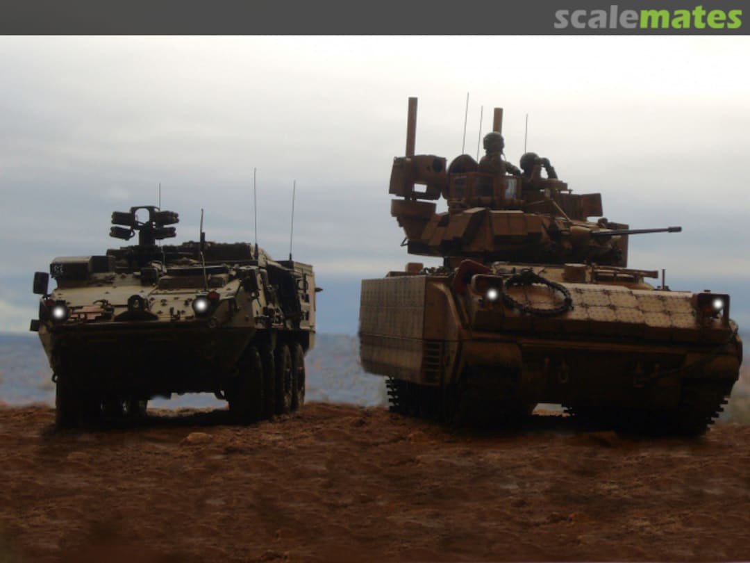 View album, image #1 View album, image #1