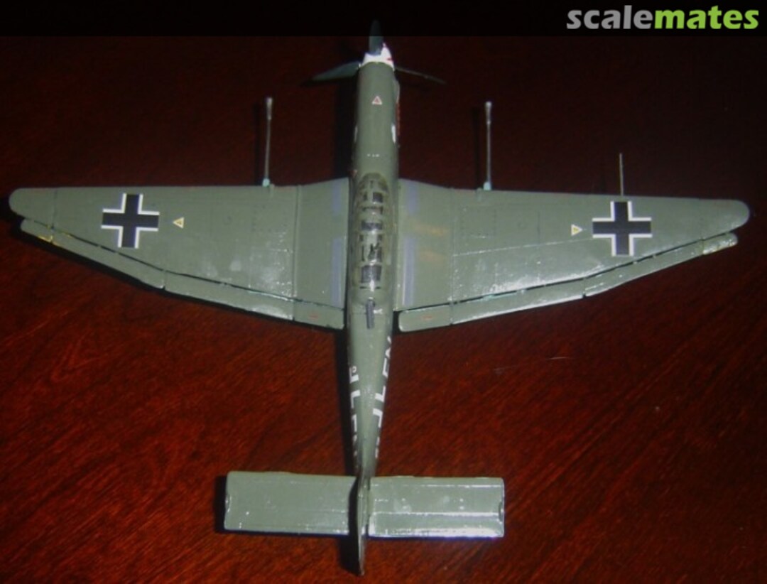 View album, image #1 View album, image #1