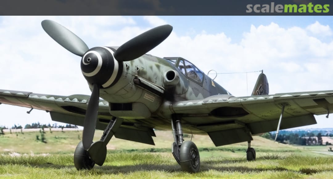 View album, image #16 View album, image #16