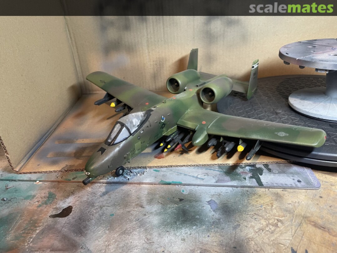 View album, image #4