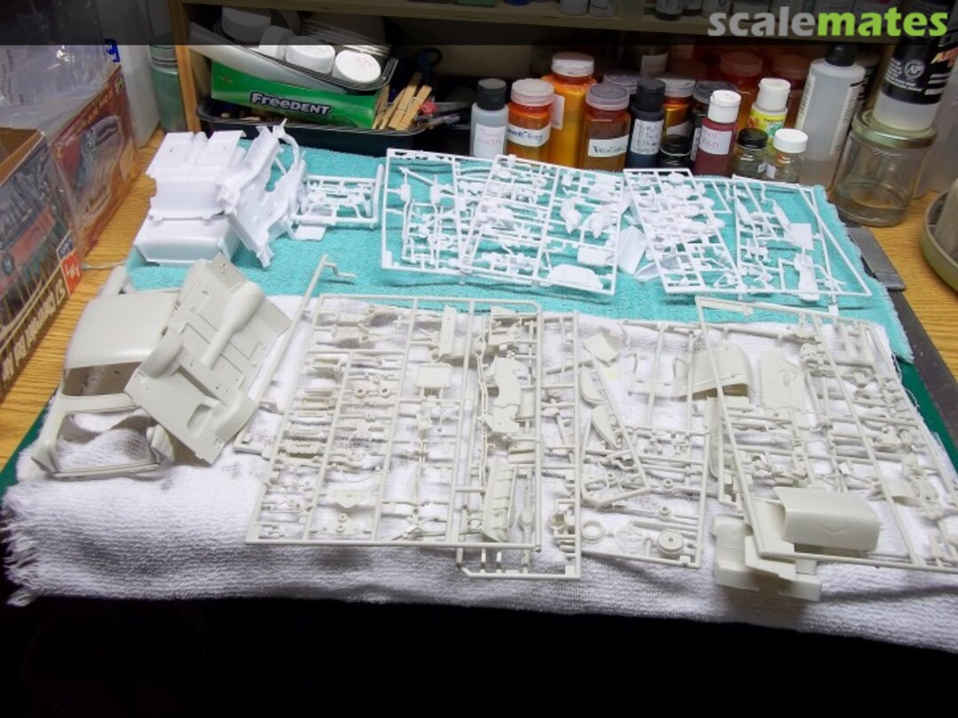 View album, image #1