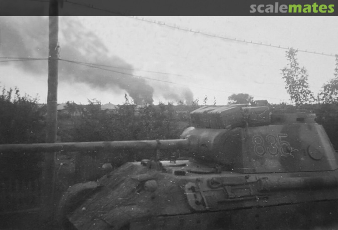 View album, image #1 View album, image #1