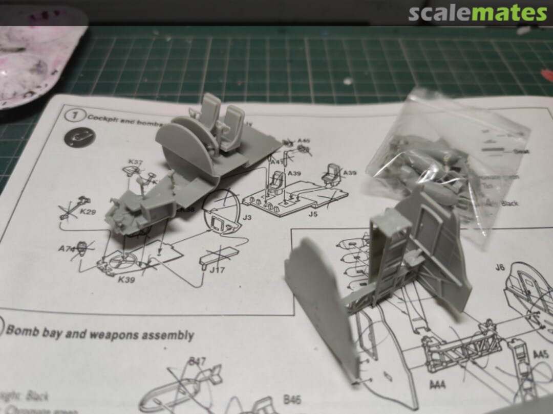 View album, image #1